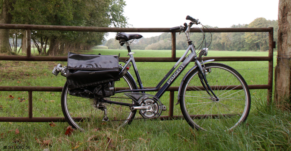 A1-Drentsch Landschap-fiets-1-950-studio 56